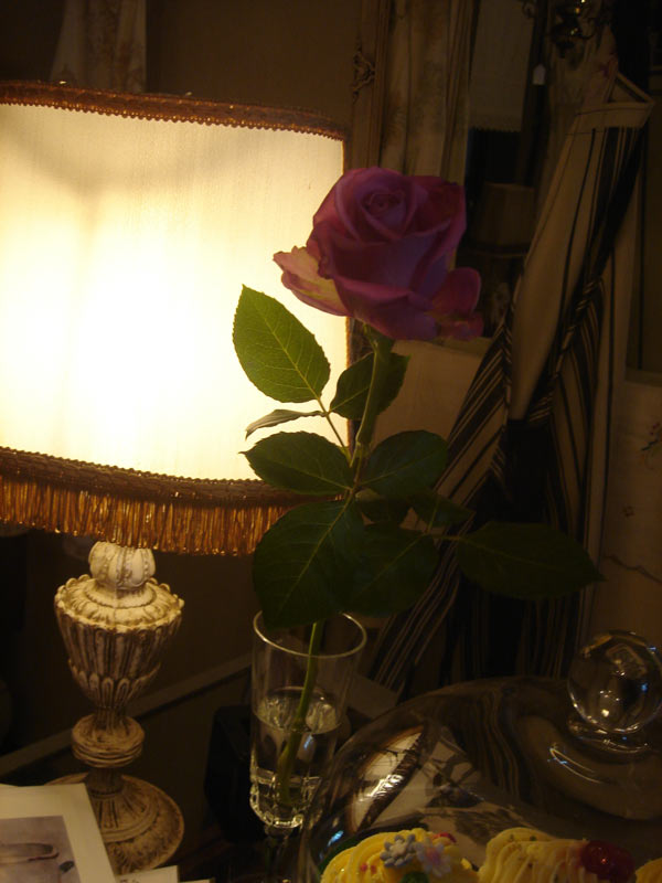 Vintage Furniture Cape Town Cape Town Furniture Interior Design Cape Town Antique Cape Town